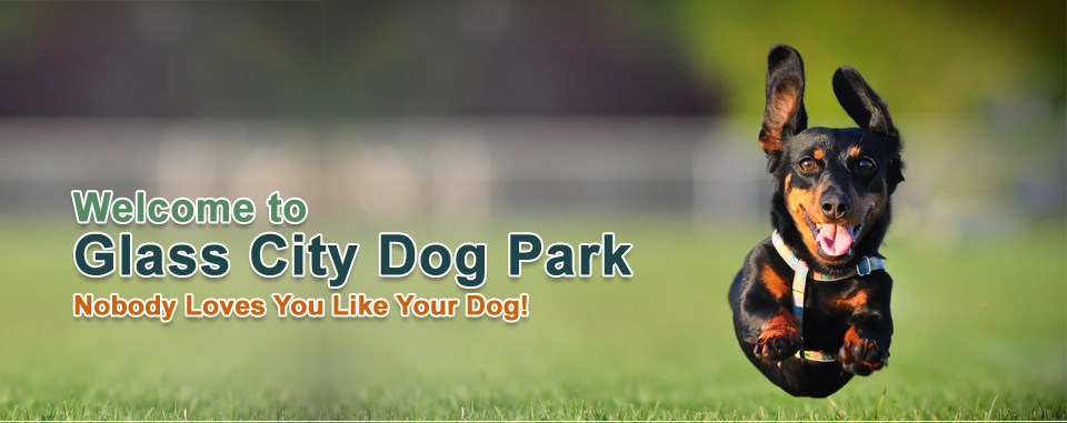 Glass City Dog Park