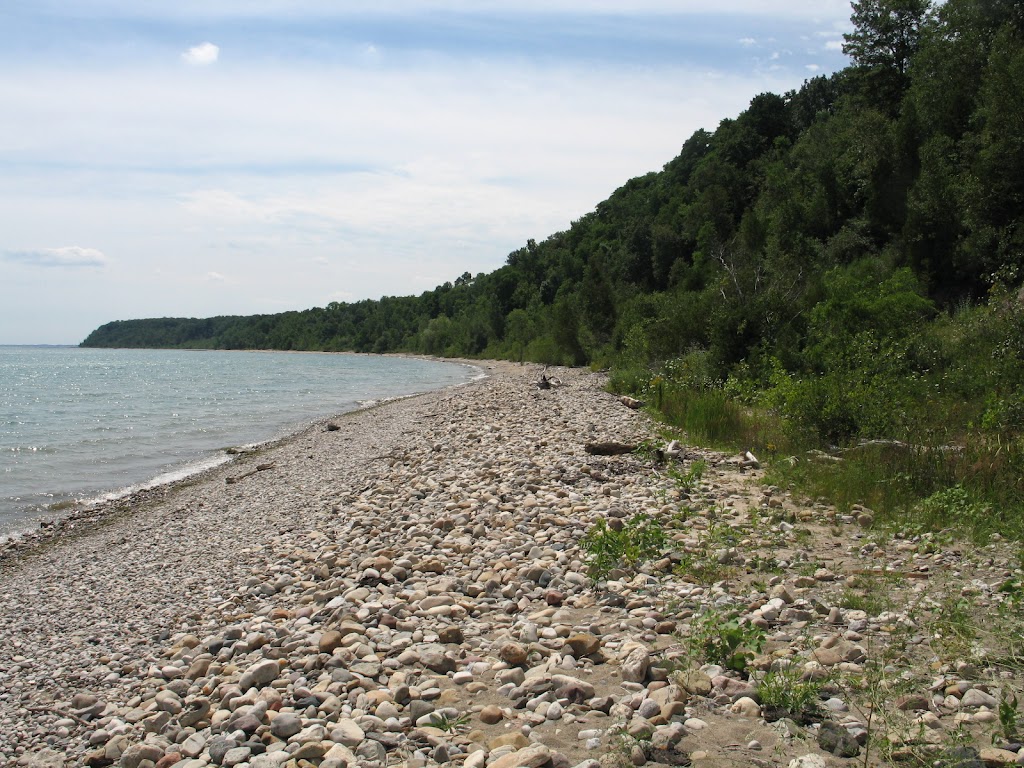 Warnimont Park Off-Leash Dog Area