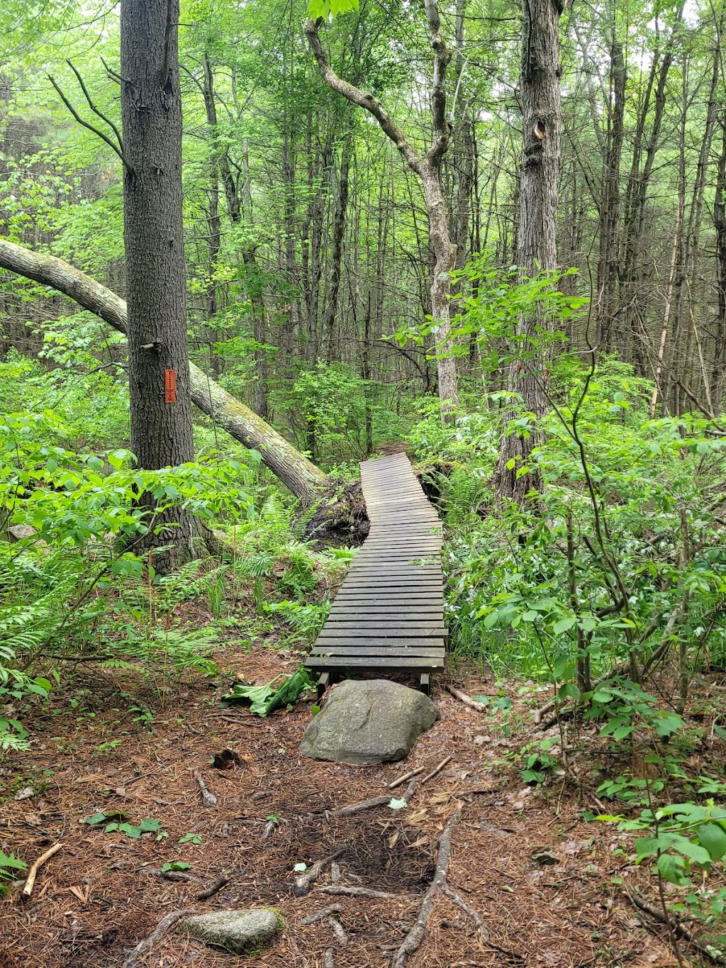 Musquash Conservation Area