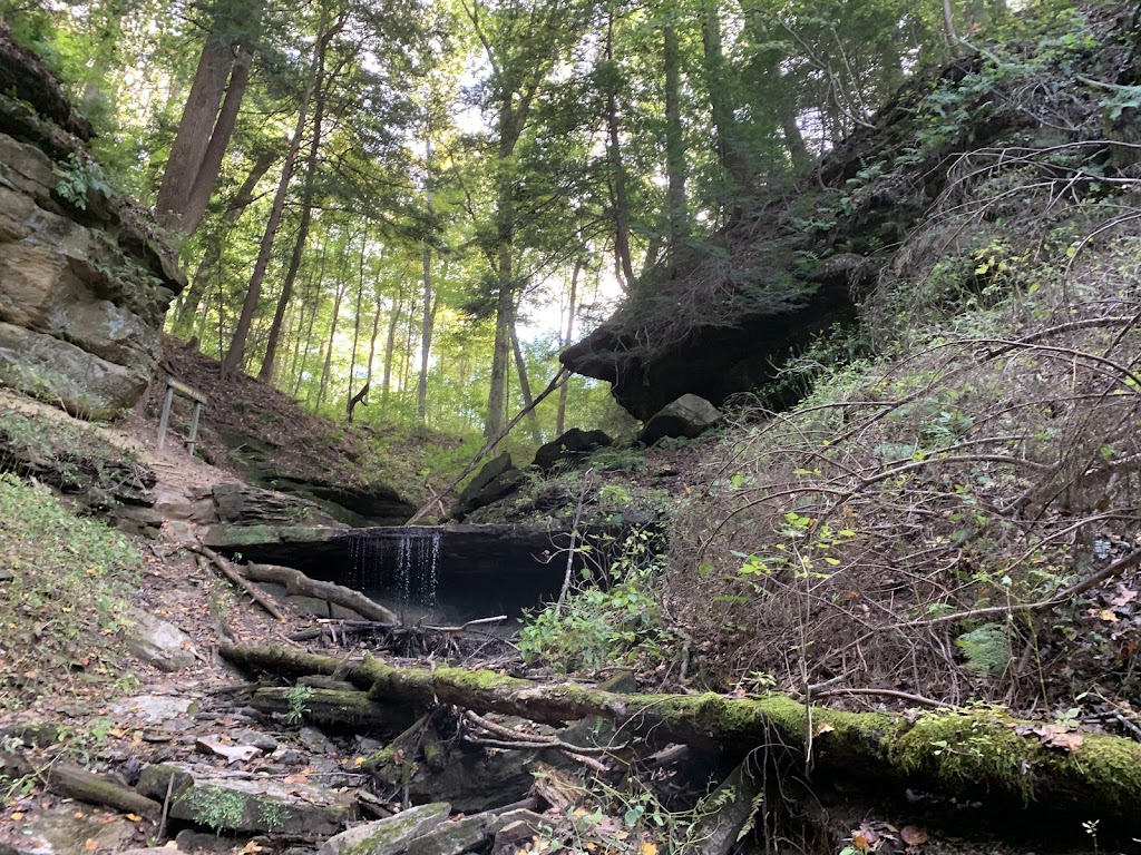 Shades State Park, Waveland