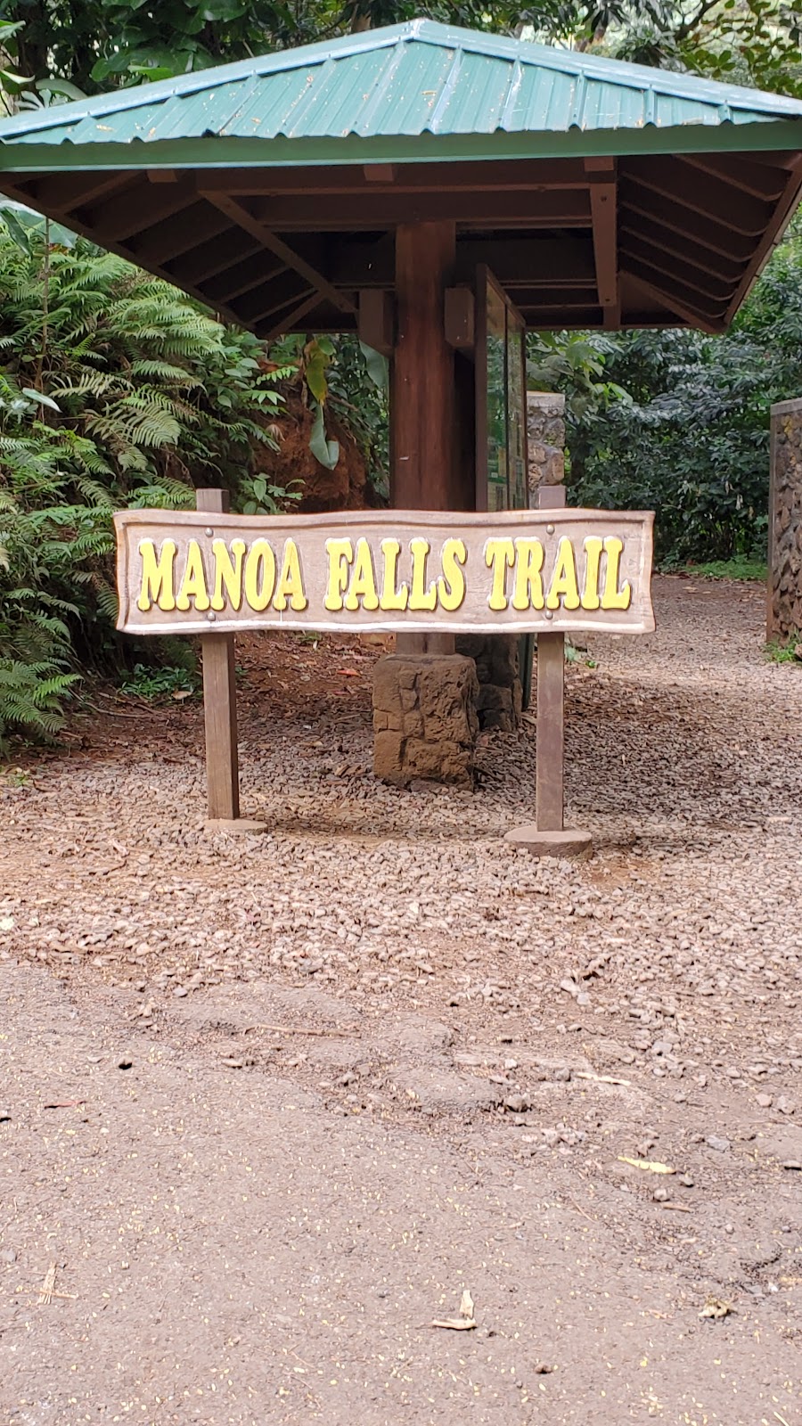 Manoa Falls Trail