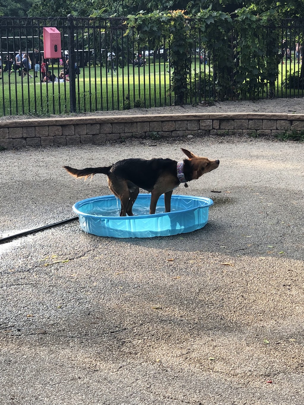 Margate Park Dog Friendly Area