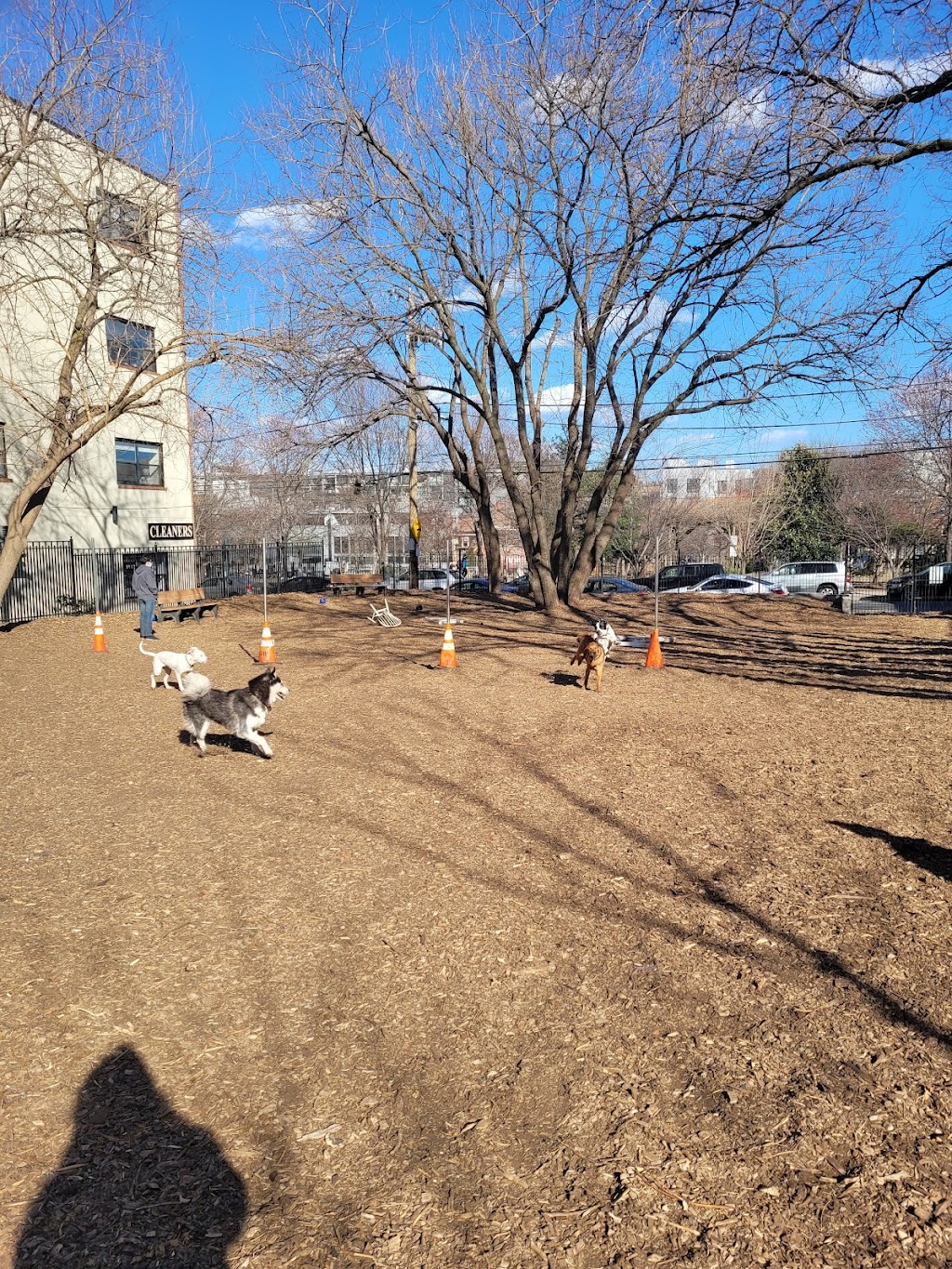 Orianna Hill Dog Park, Philadelphia