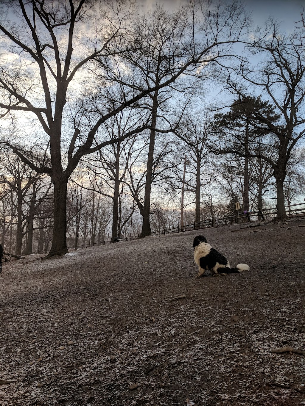 Riverview Park Off-Leash Exercise Area