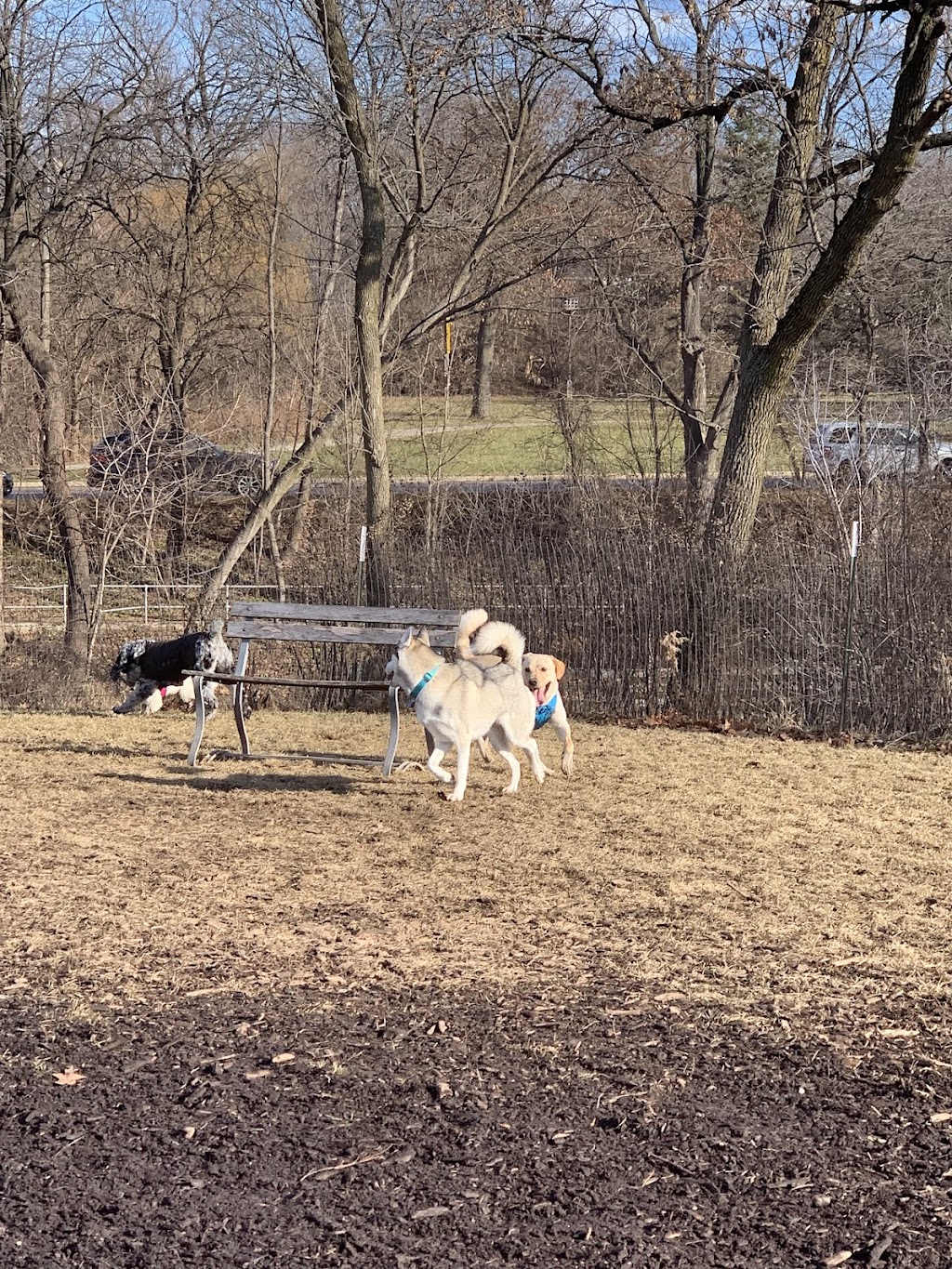 Estabrook Park Off-Leash Dog Area