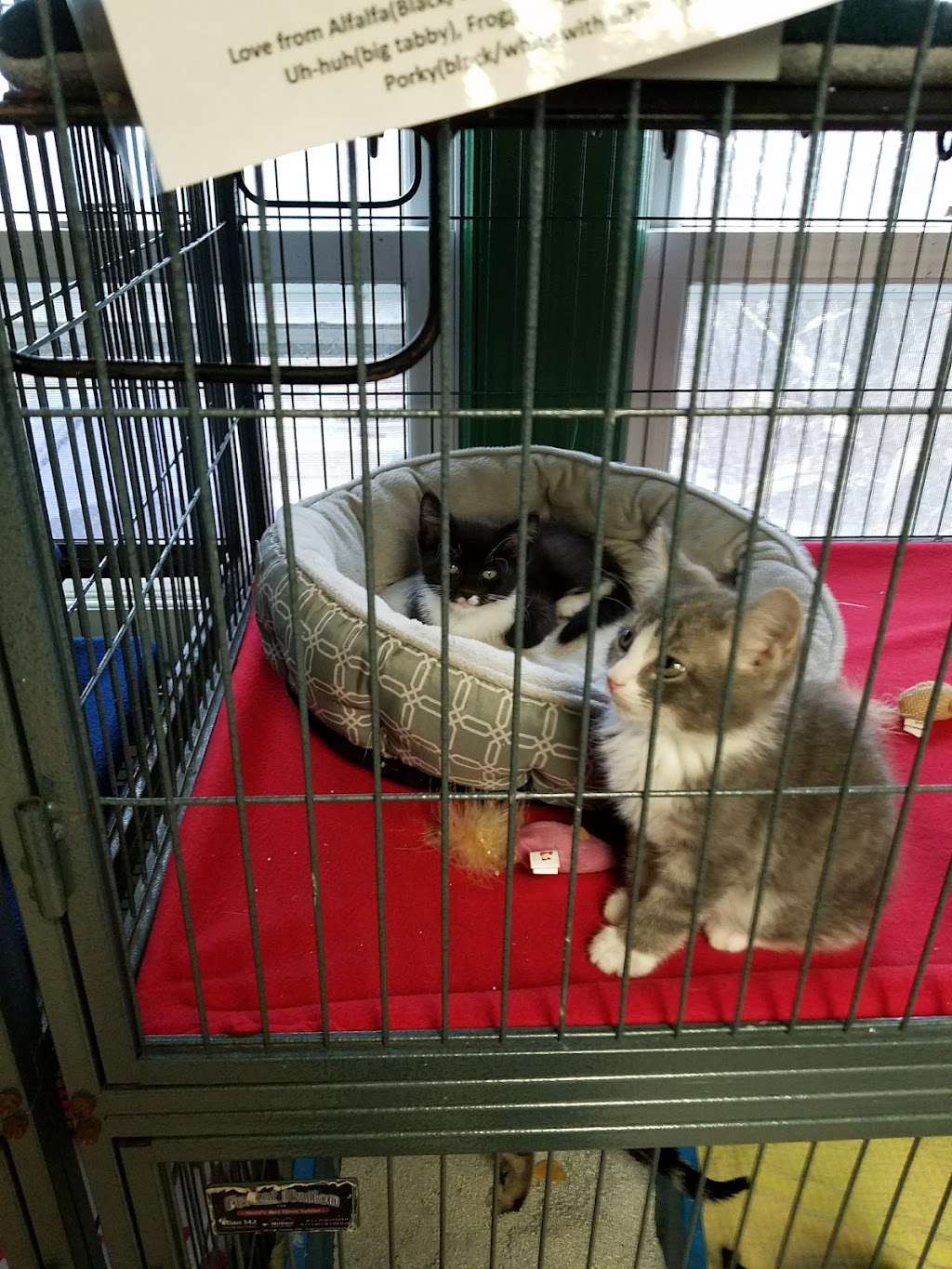 Aberdeen Area Humane Society