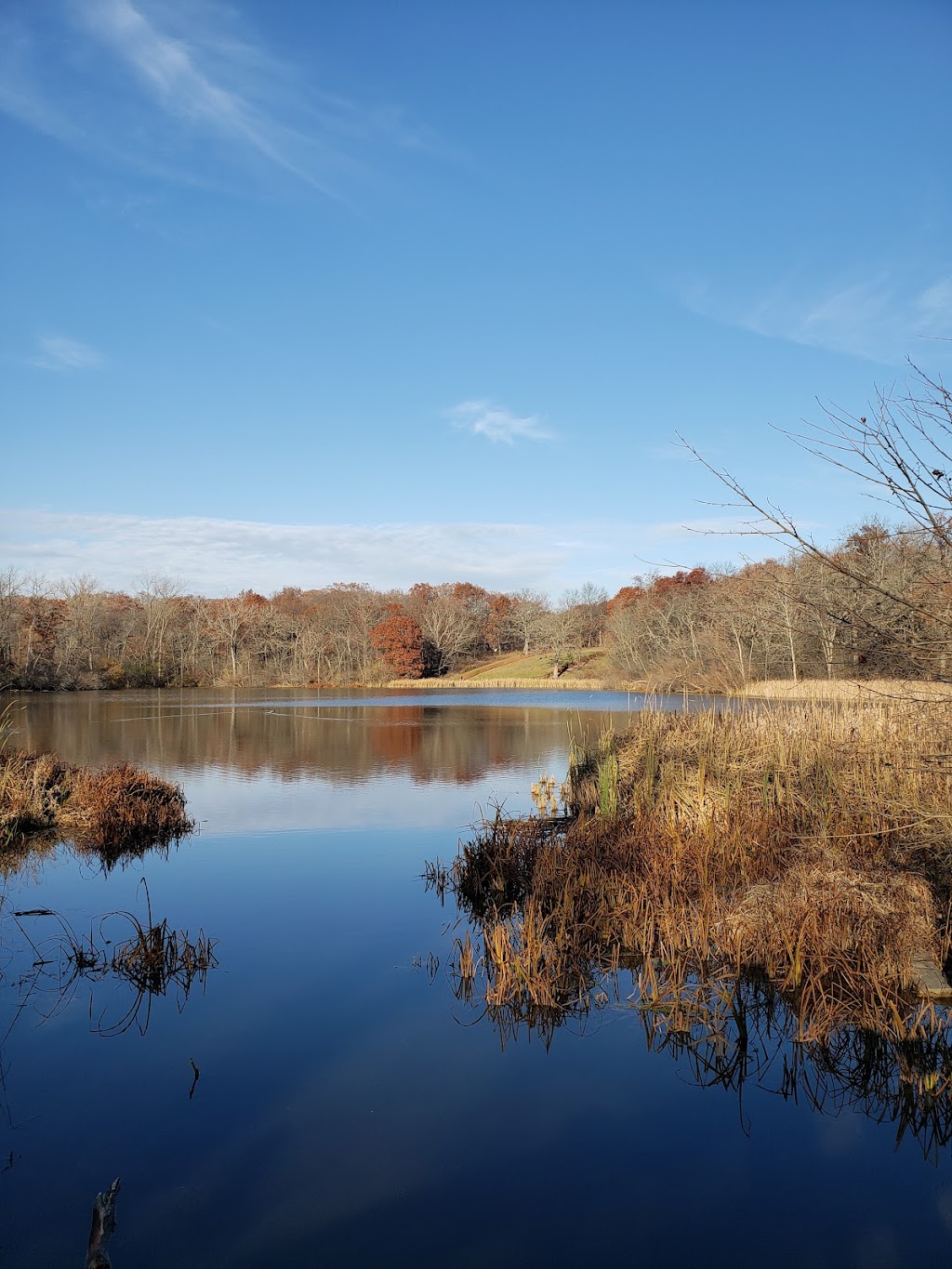Deer Grove Forest Preserve