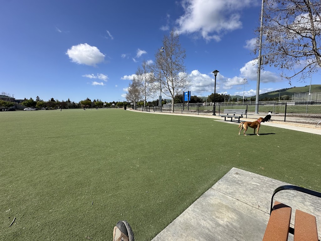 Central Park Off-Leash Dog Area
