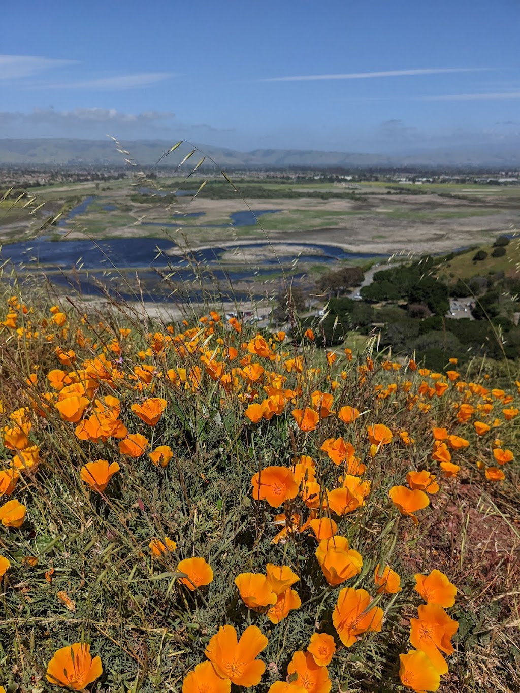 Coyote Hills Regional Park