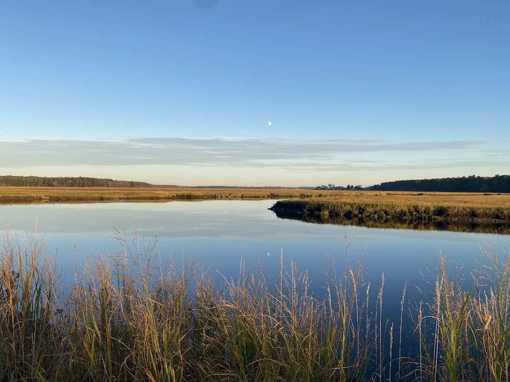 Scarborough Marsh