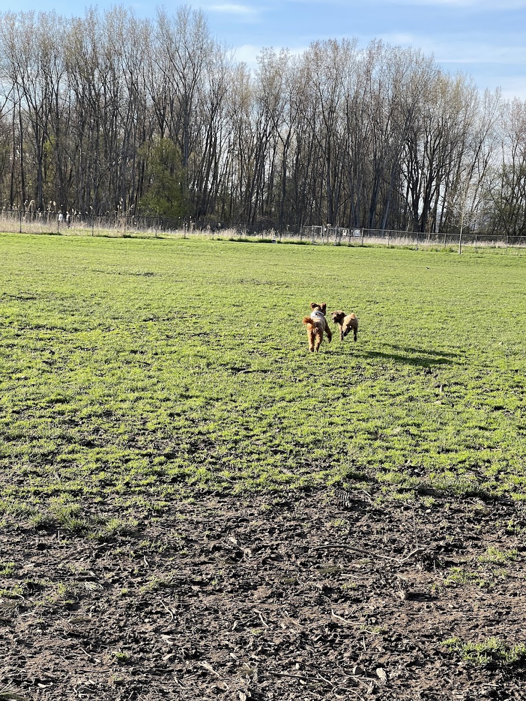 Ithaca Dog Park