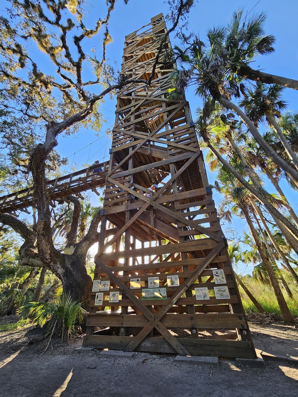 Myakka River State Park Campground