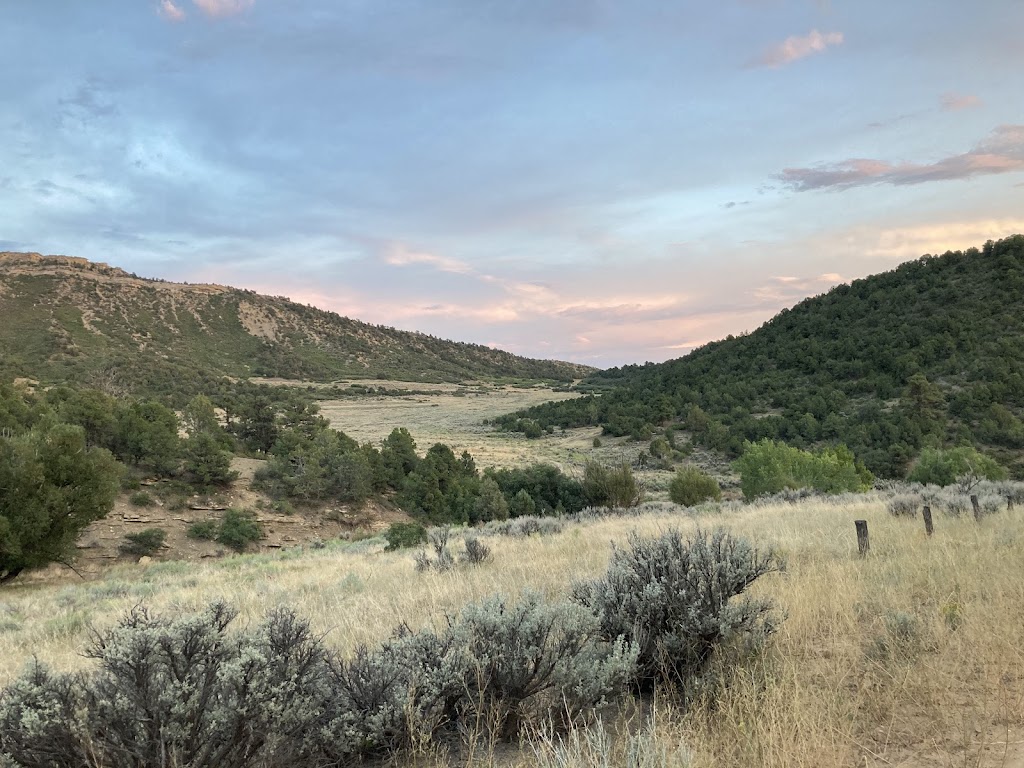 Horse Gulch Trail System