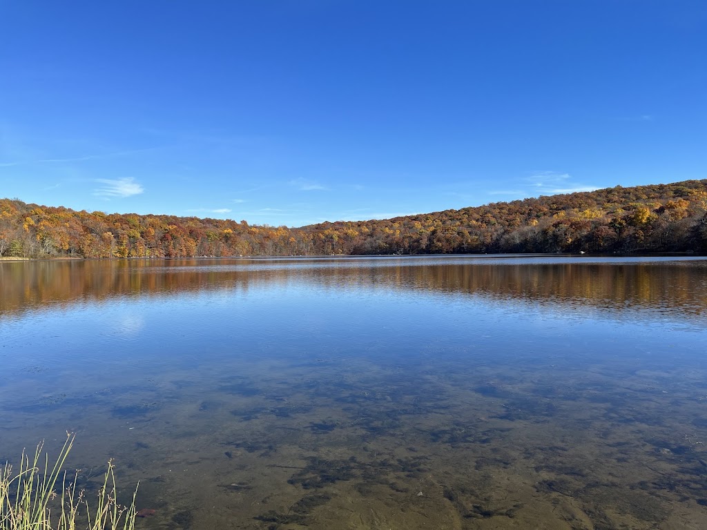 Ringwood State Park