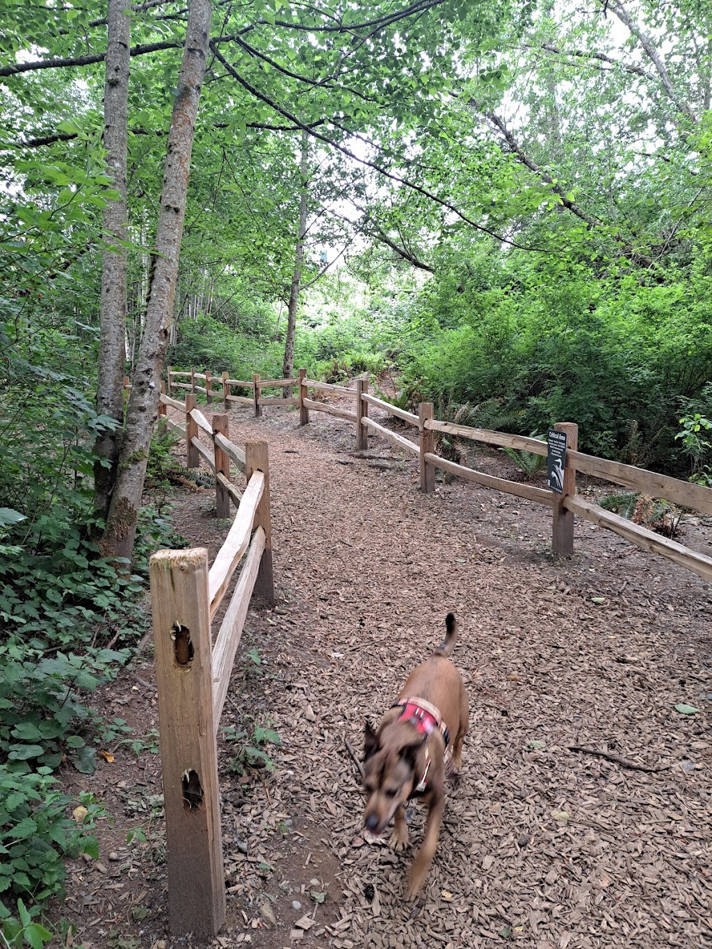 Loganberry Lane Dog Park