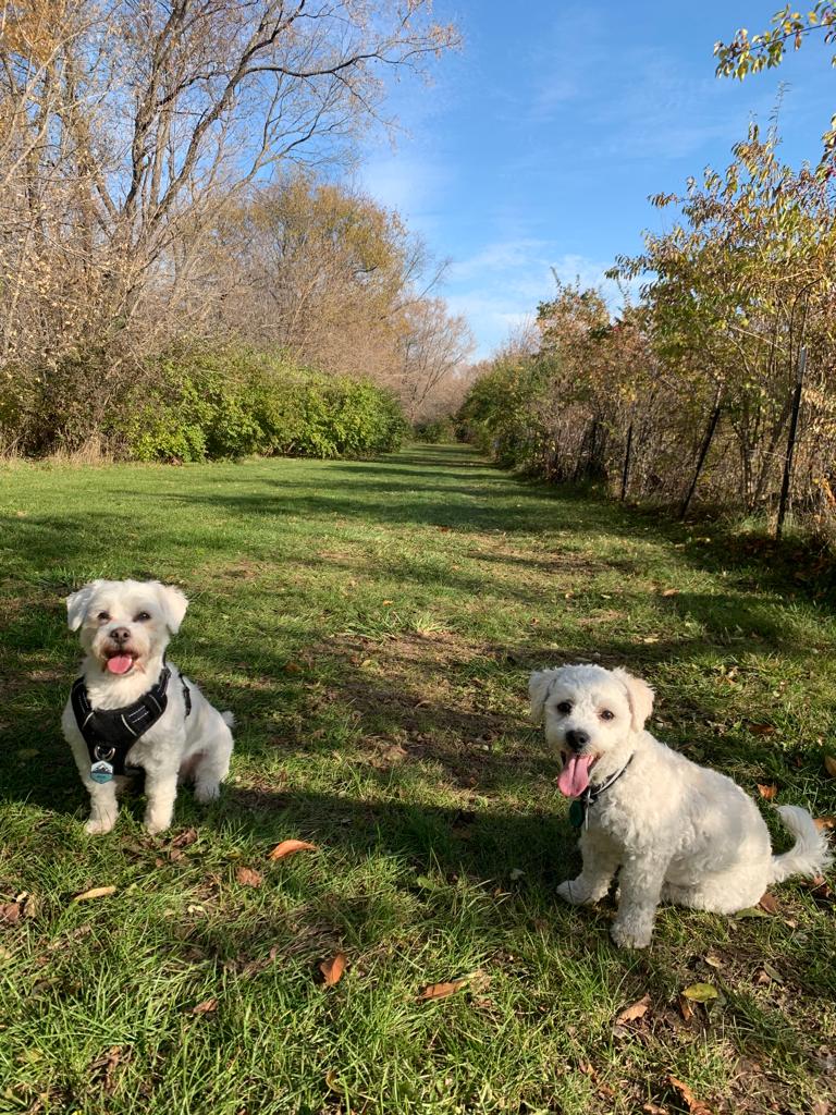 Roma Jean Poco Memorial Dog Park