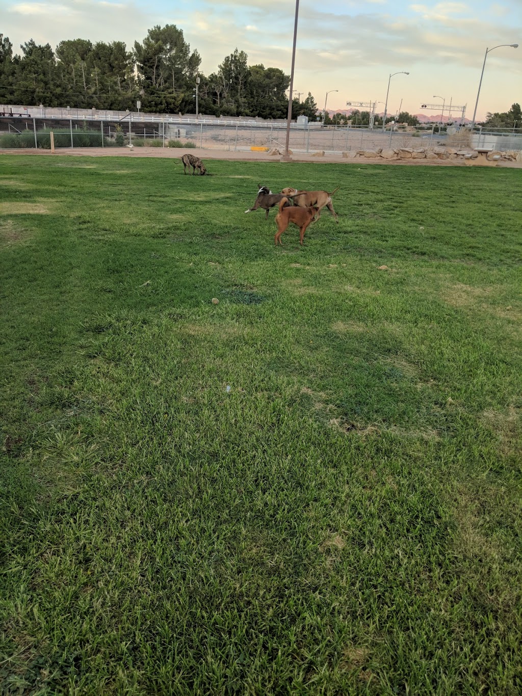 Sunset Park Dog Run, Las Vegas