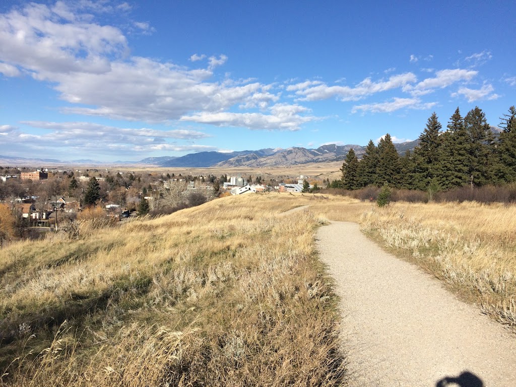 Burke Park (Peet's Hill)