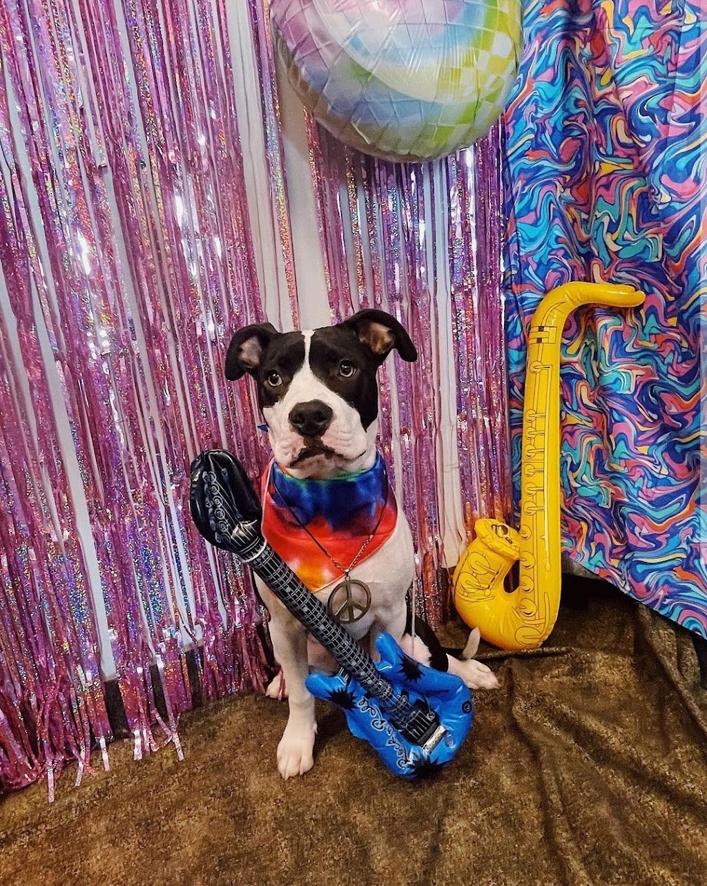 Dogtopia Lexington