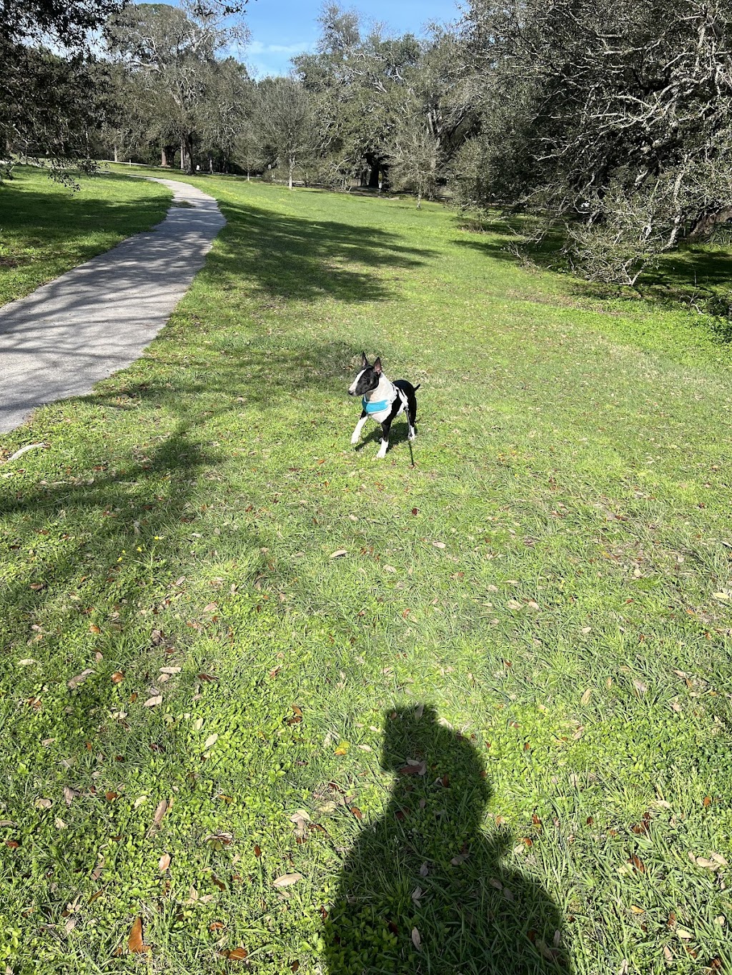 Wisner Tract Bark Park
