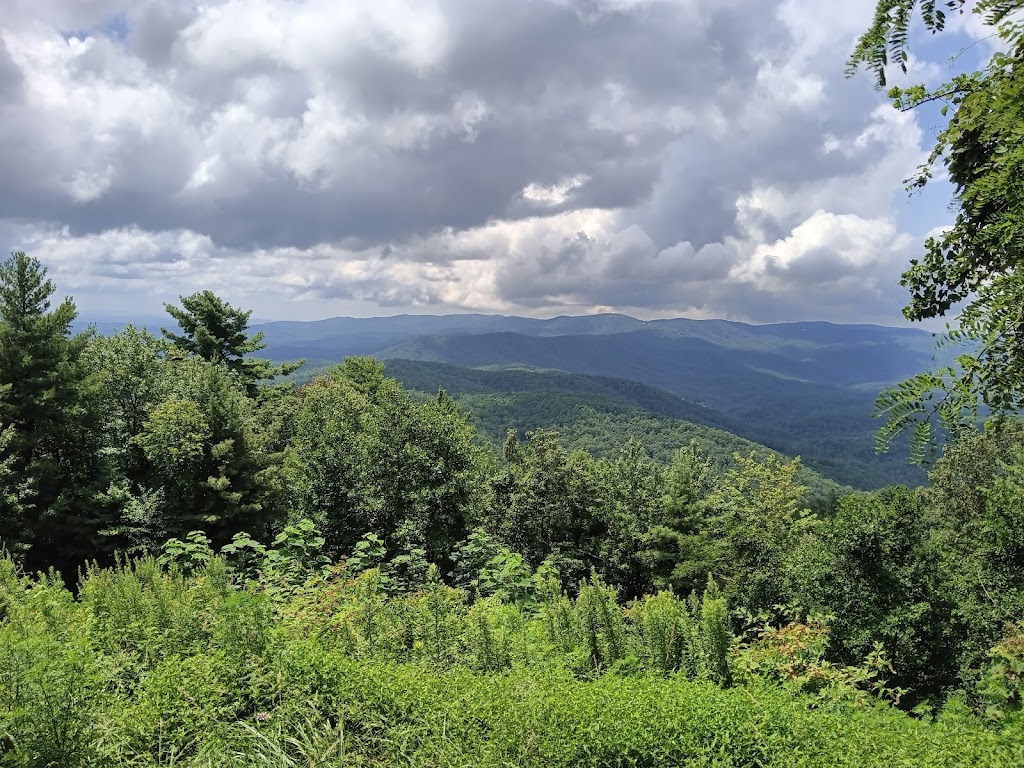 Cohutta Wilderness Area