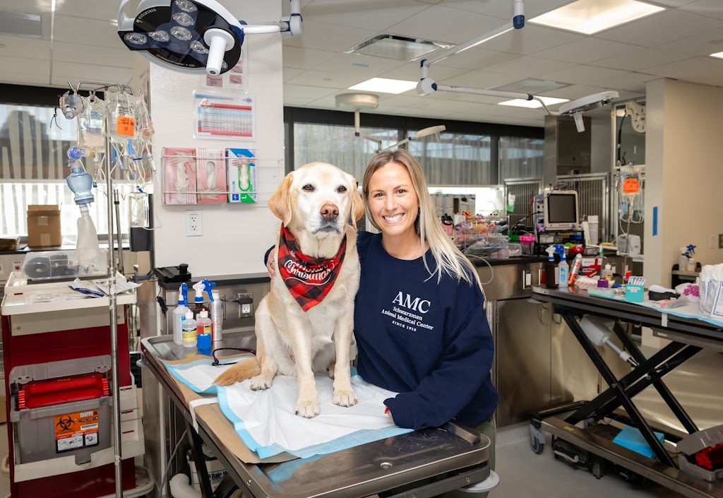 Animal Medical Center (24/7)