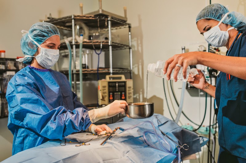 Pet+ER (Pet Emergency Room) — Towson