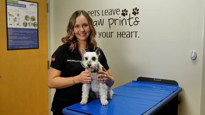 Lincolnway Veterinary Clinic