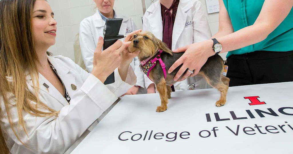 University of Illinois Veterinary Teaching Hospital, Urbana