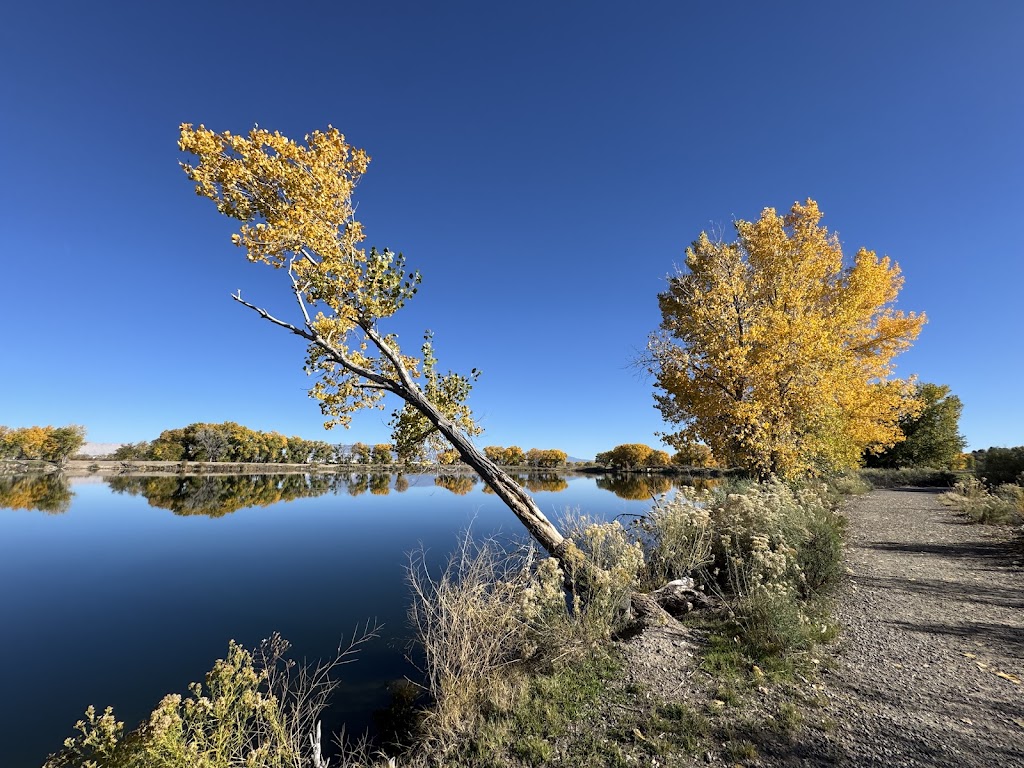 Connected Lakes (James M. Robb State Park)