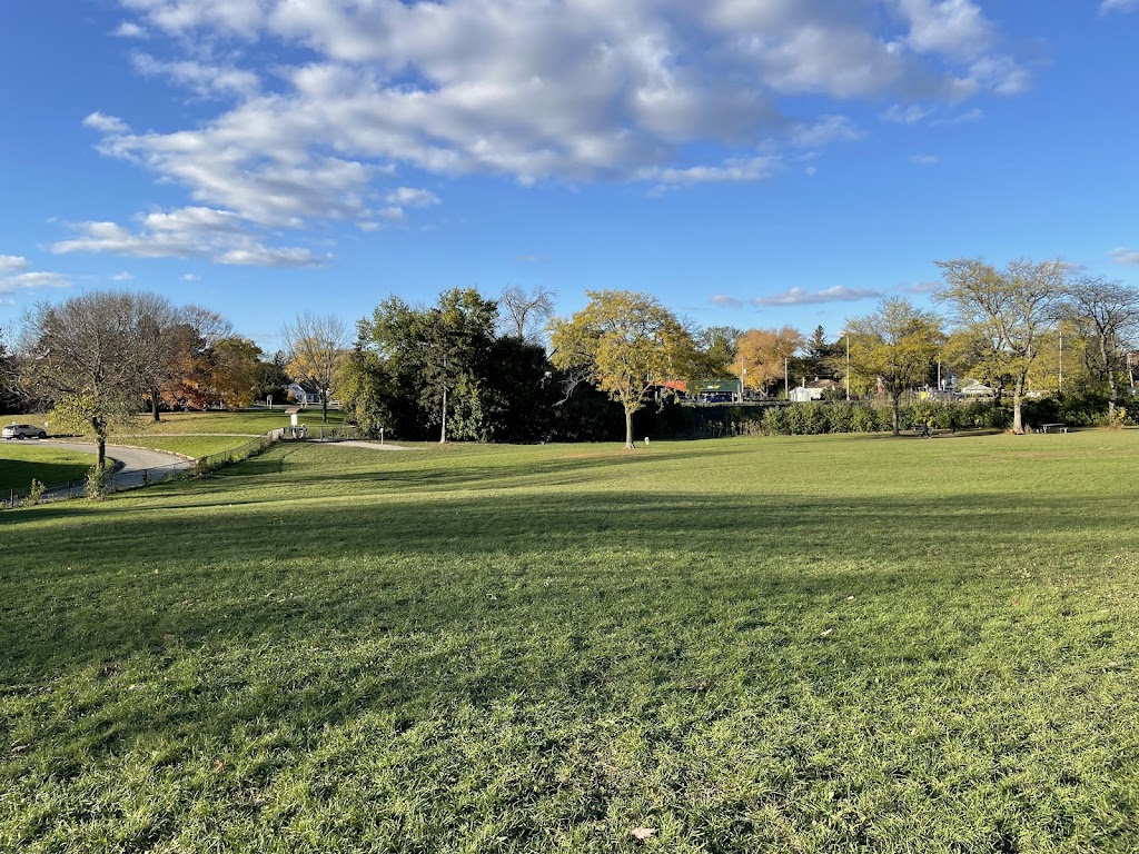 Currie Park Off-Leash Dog Area