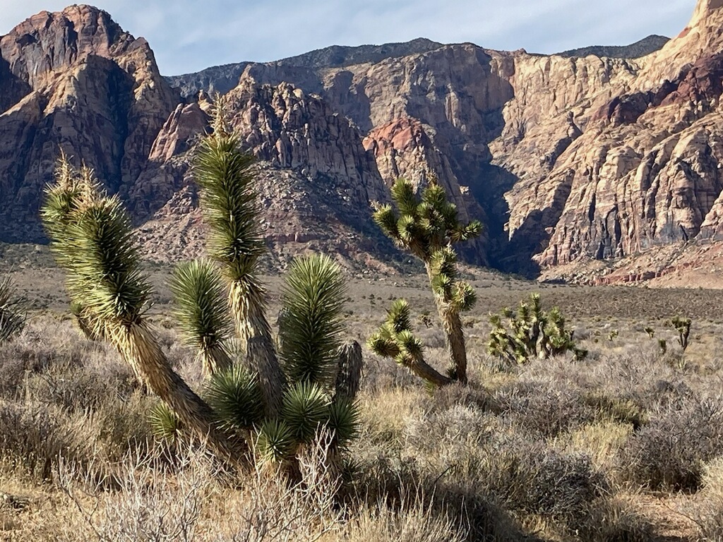 Pine Creek Canyon Trail
