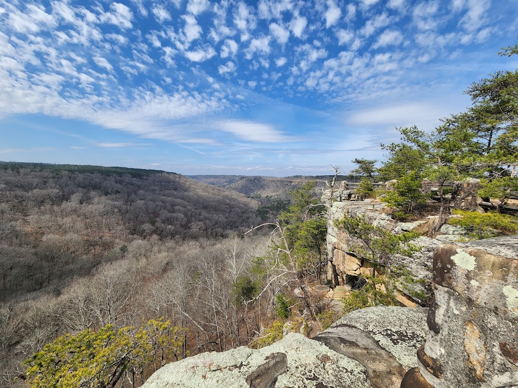 Buck Island Recreation Area (Guntersville)