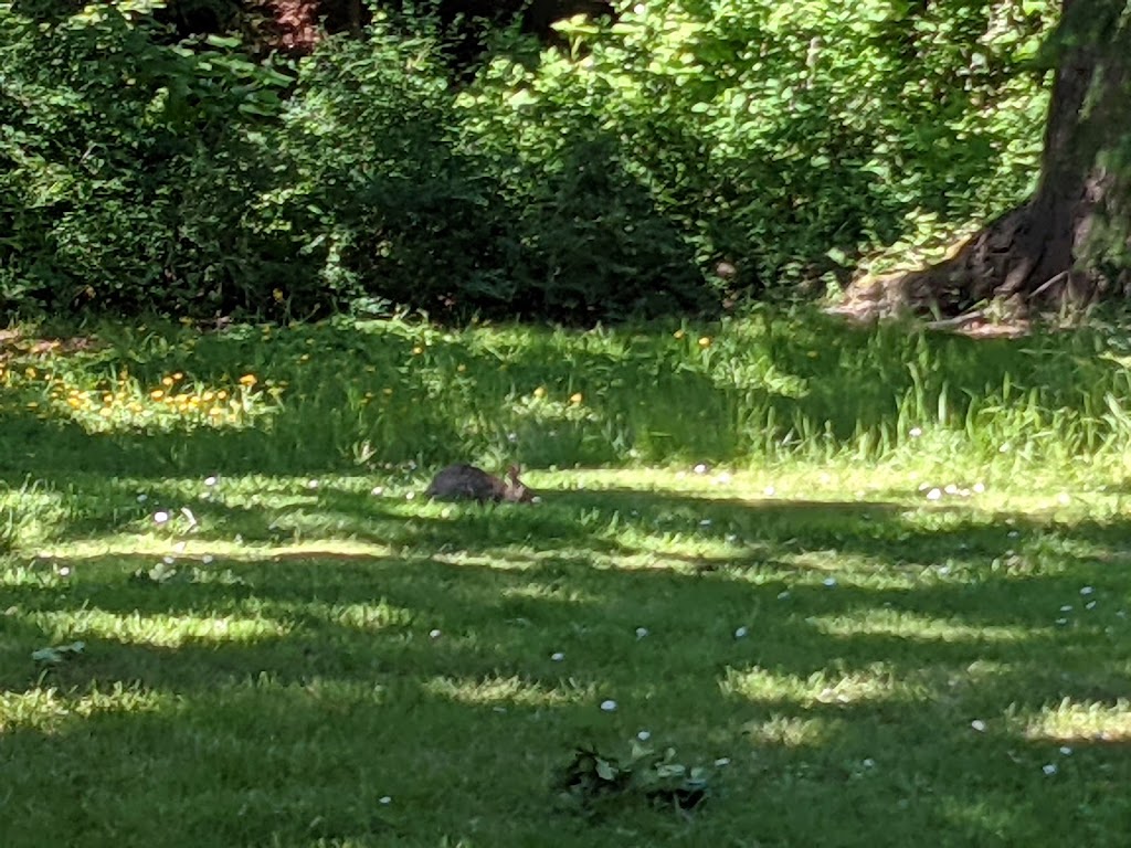 Seward Park