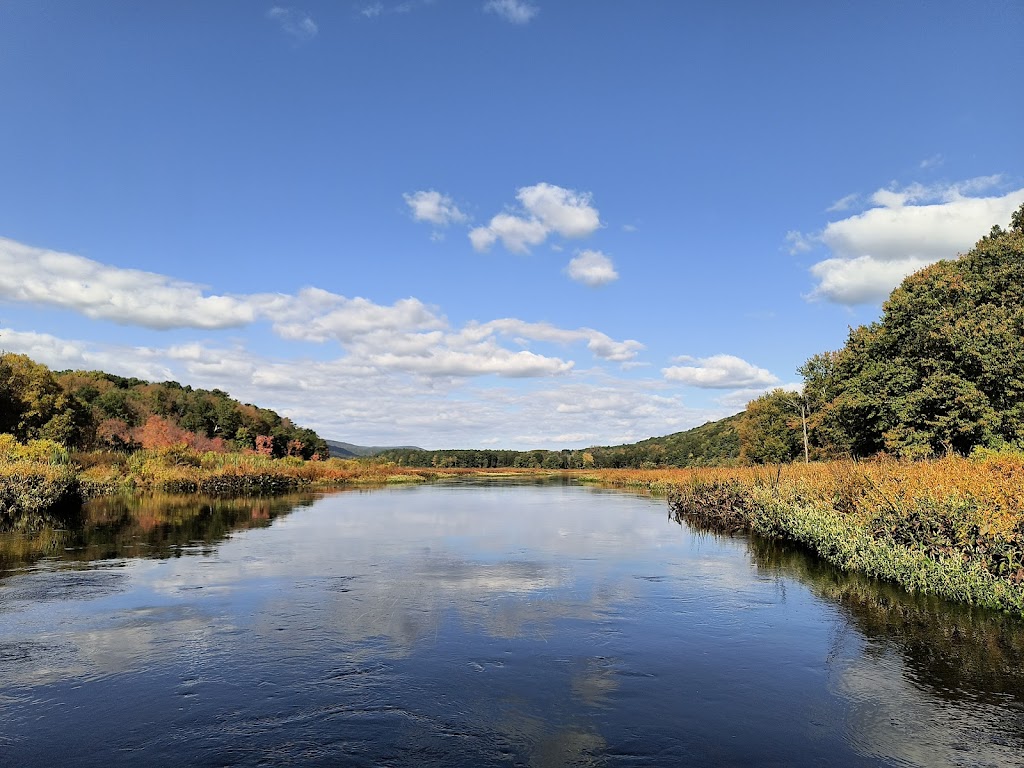 Bashakill Wildlife Management Area