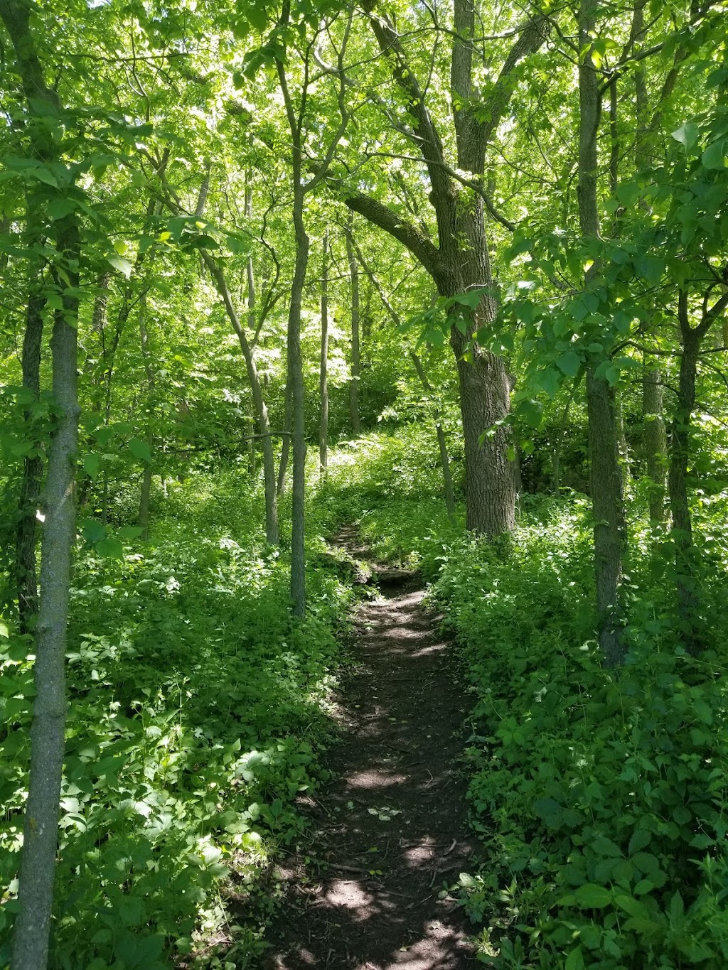 Ice Age Trail — Cross Plains Segment
