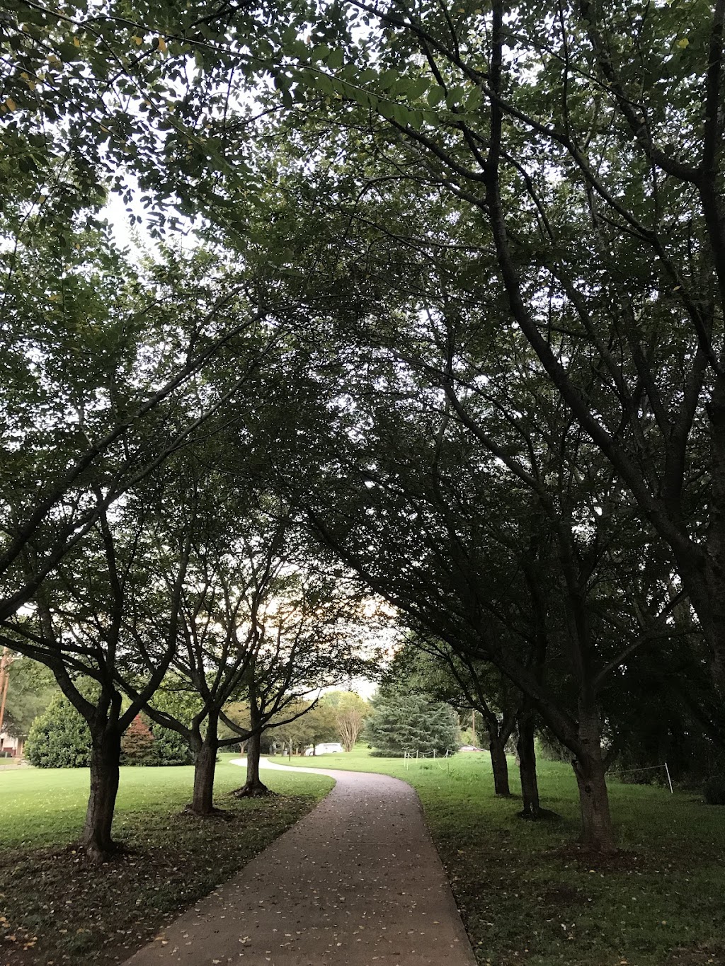 Wesley Heights Dog Park