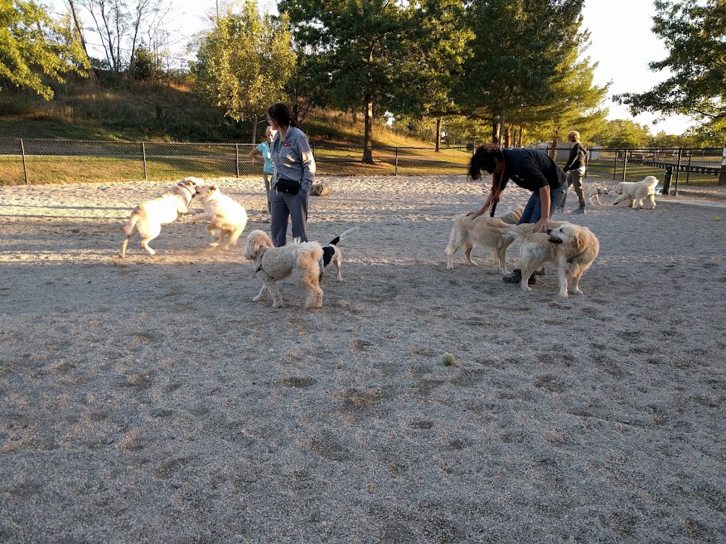 Danehy Park Dog Park