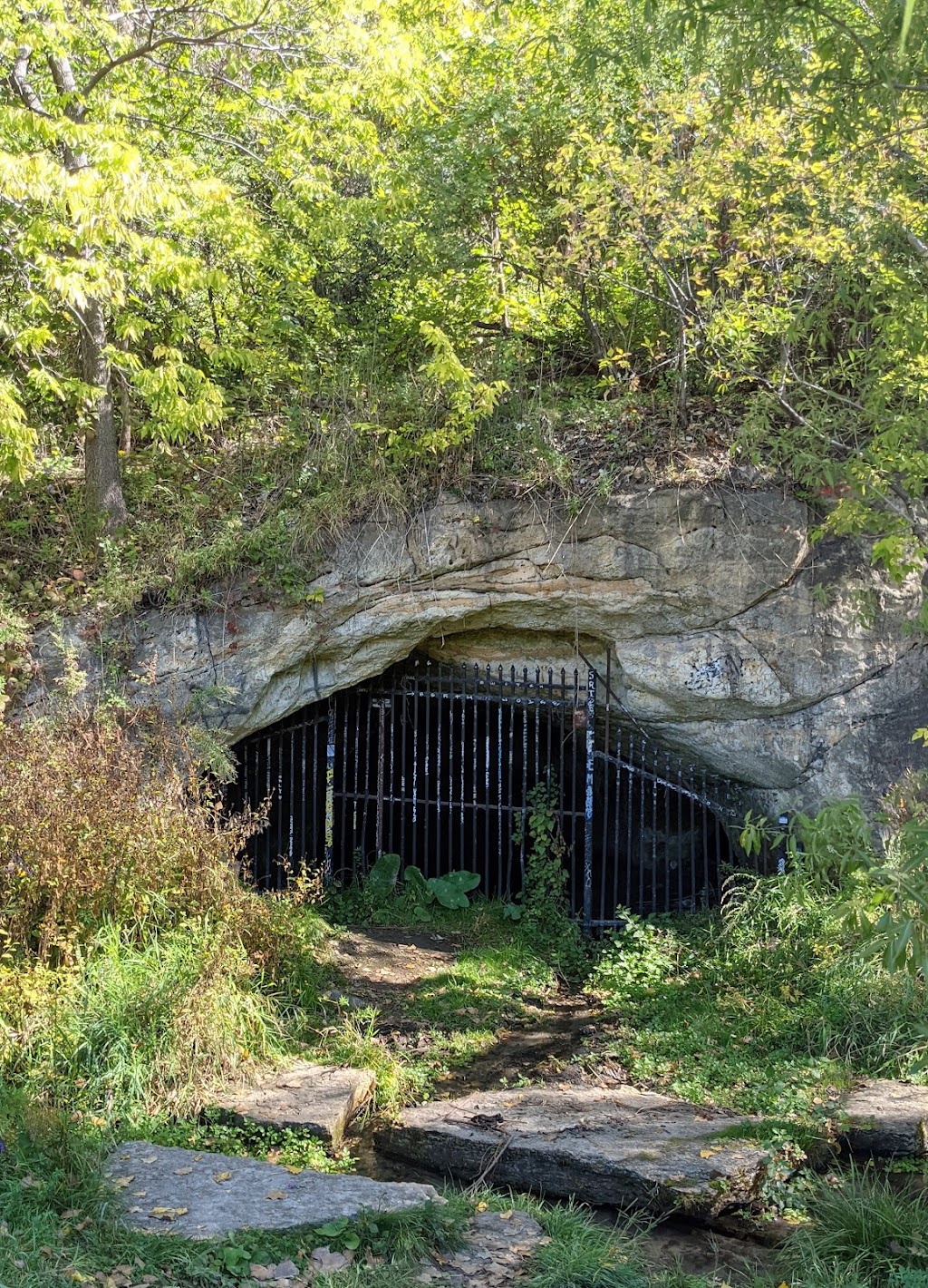 Bruce Vento Nature Sanctuary
