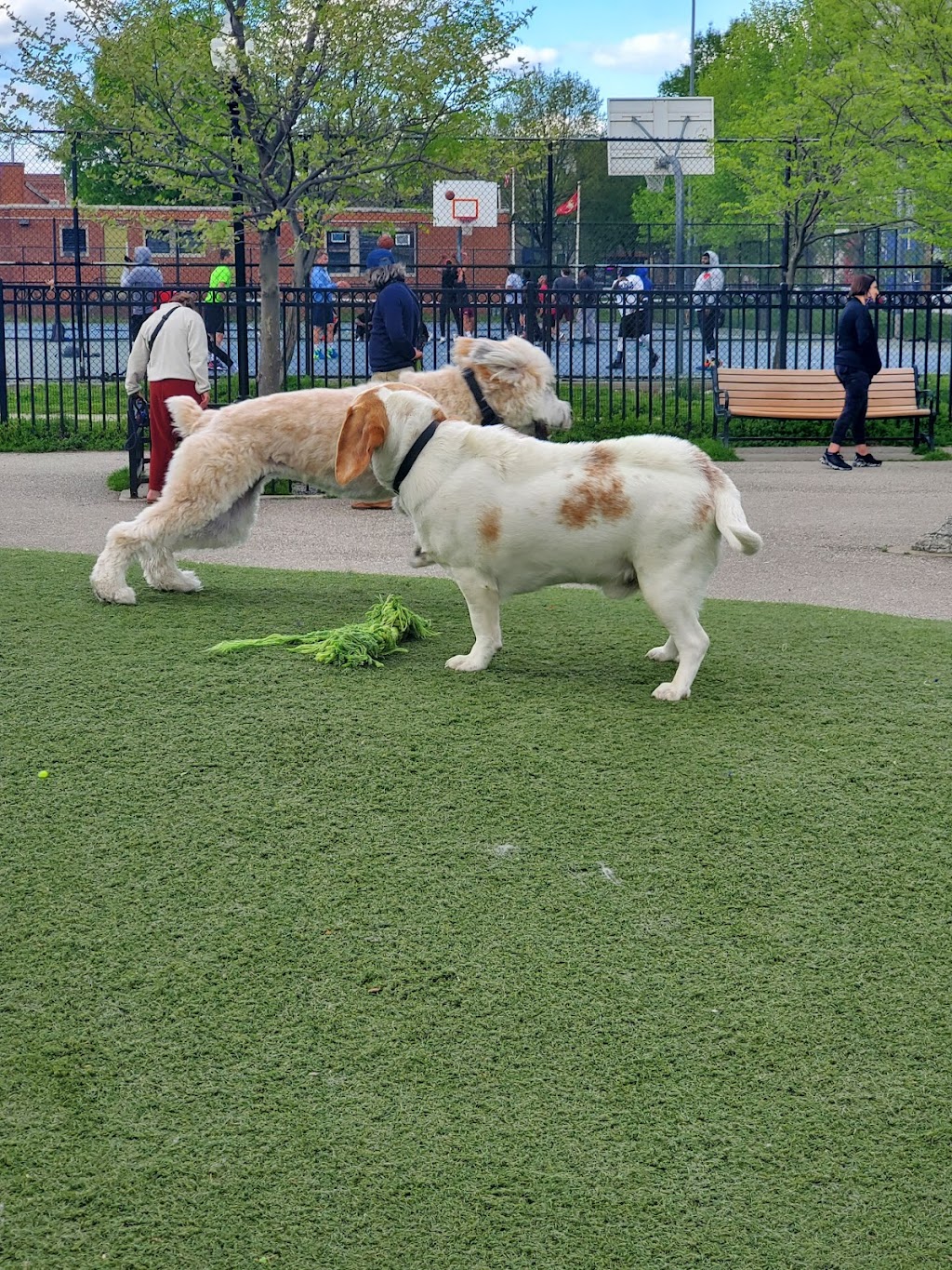 Locust Point Dog Park