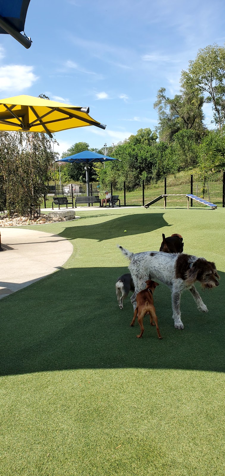 Dewey Park Dog Park