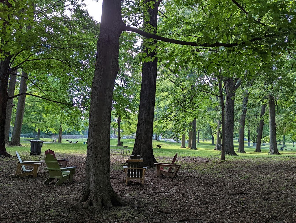 Deeds Point MetroPark Dog Park