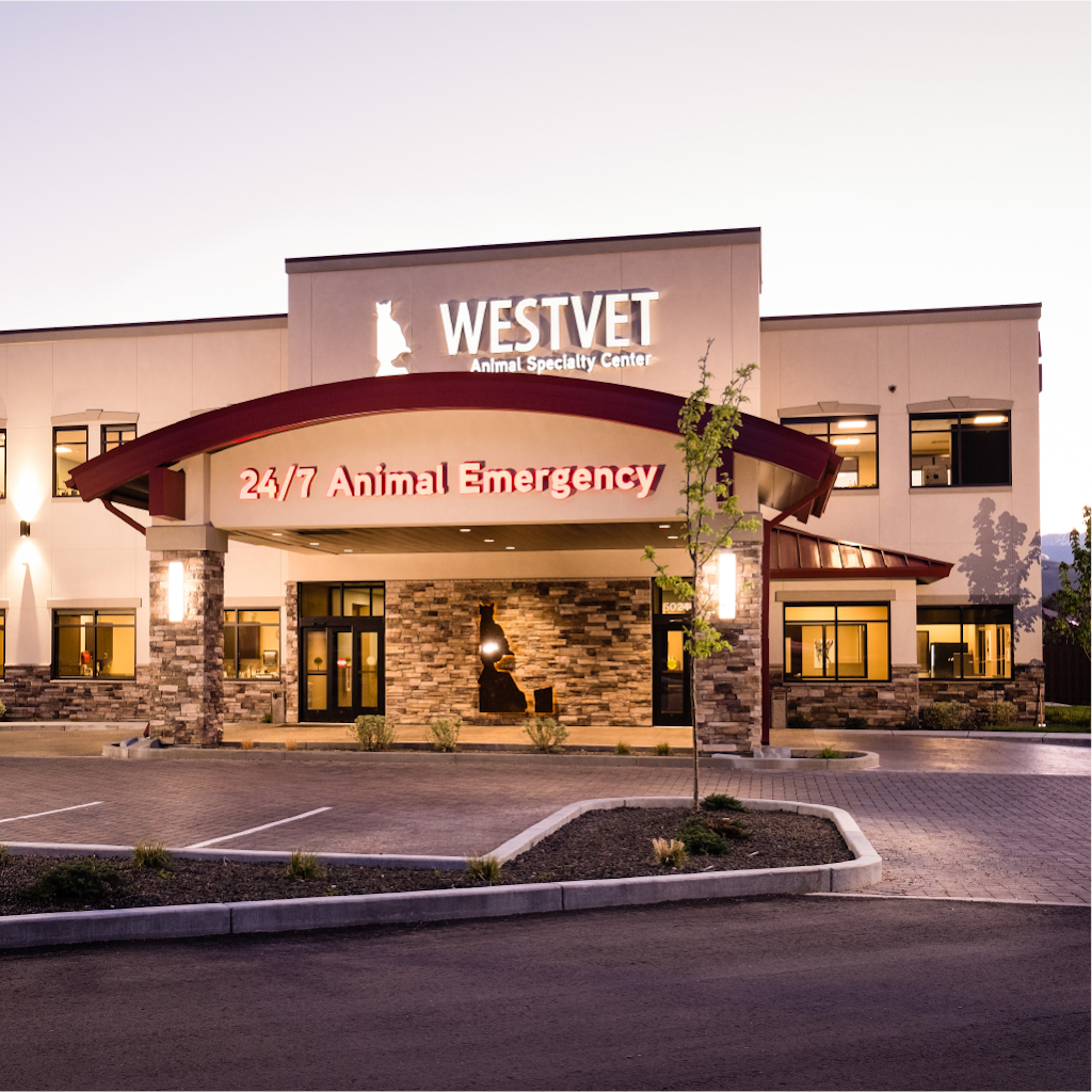 WestVet Animal Emergency & Specialty