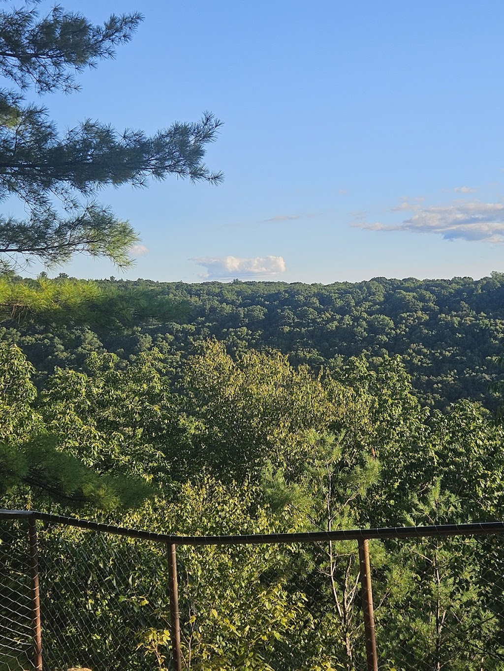 Cook Forest State Park, Cooksburg