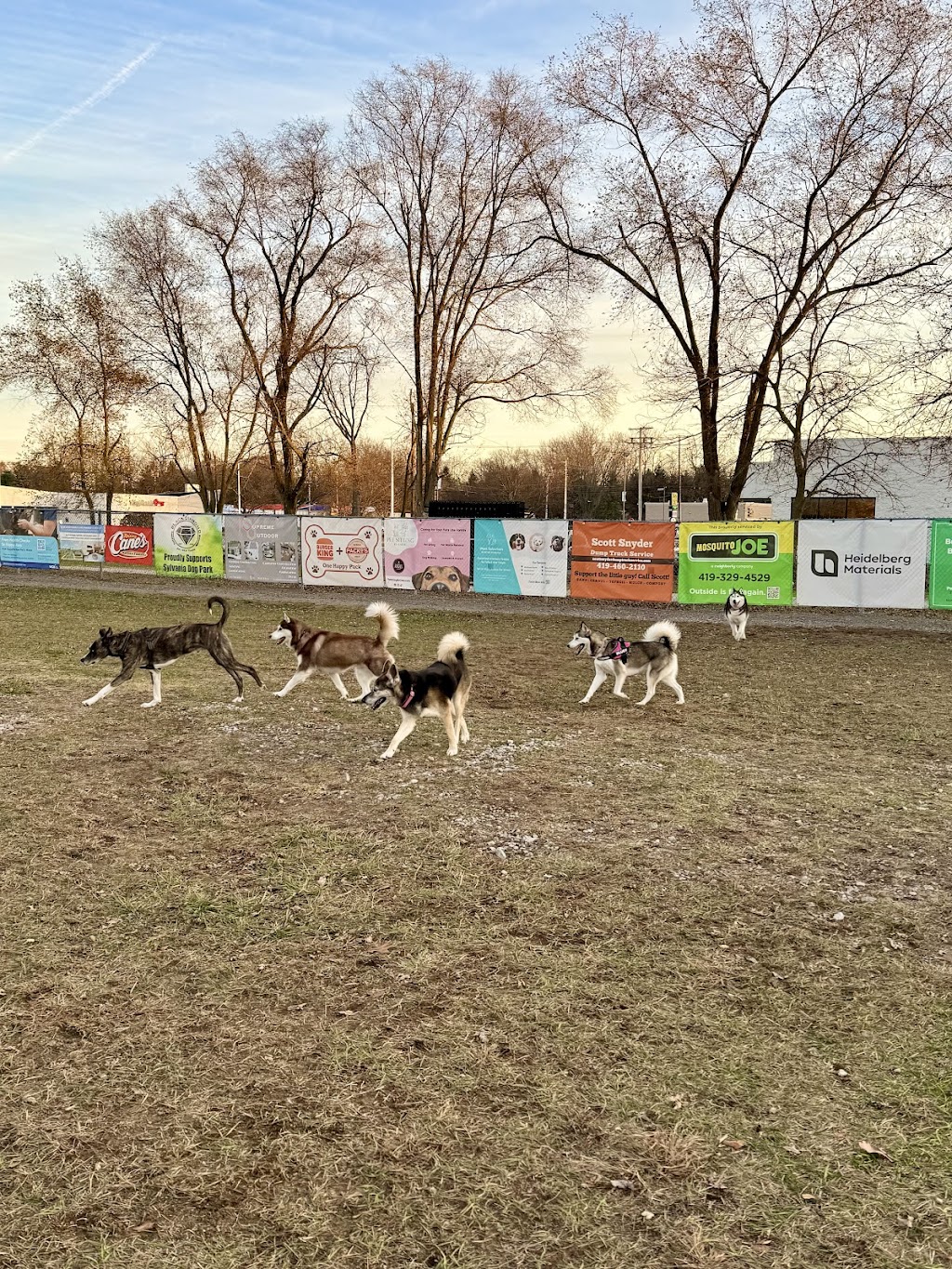 Sylvania Dog Park (Blueberry Fields)
