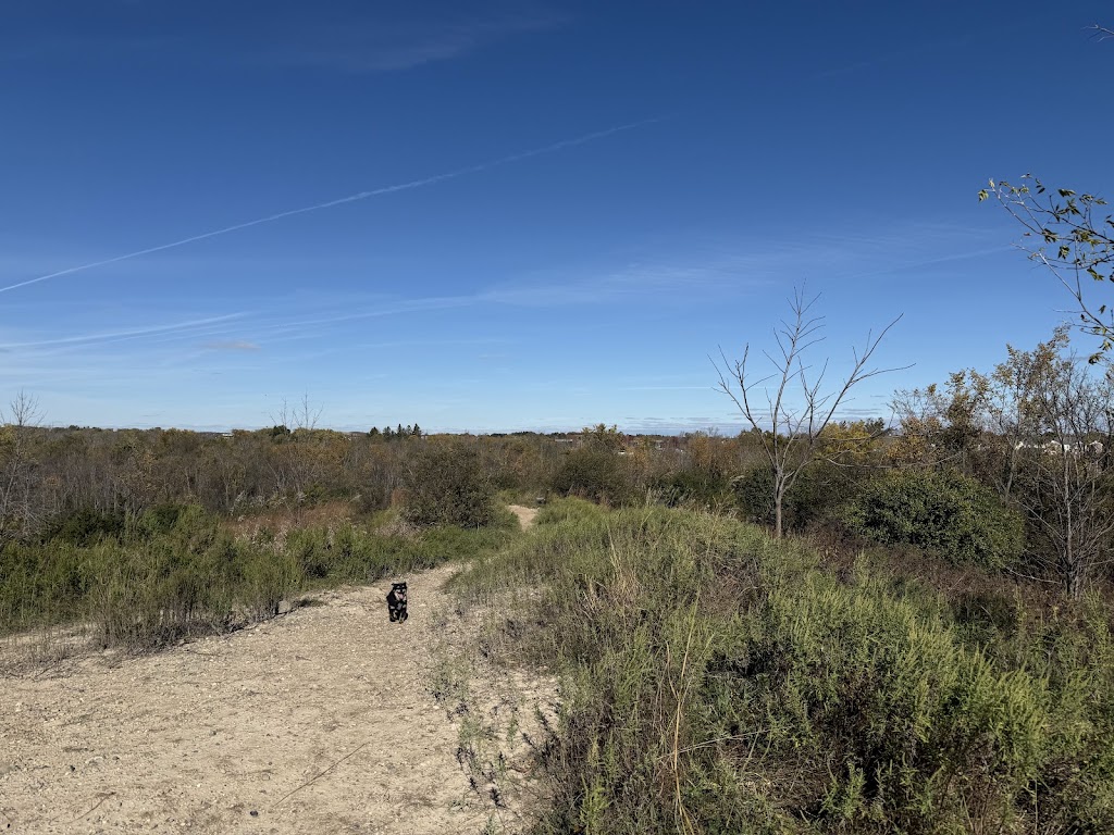 Granville Off-Leash Dog Area