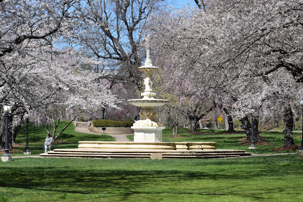 Brandywine Park
