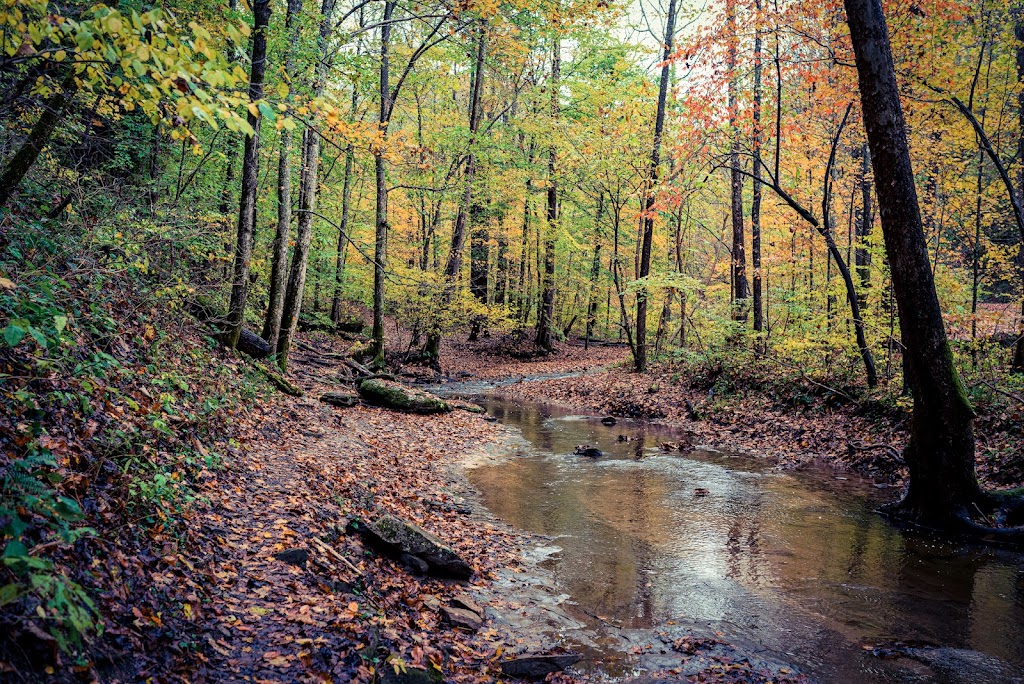 Kanawha State Forest