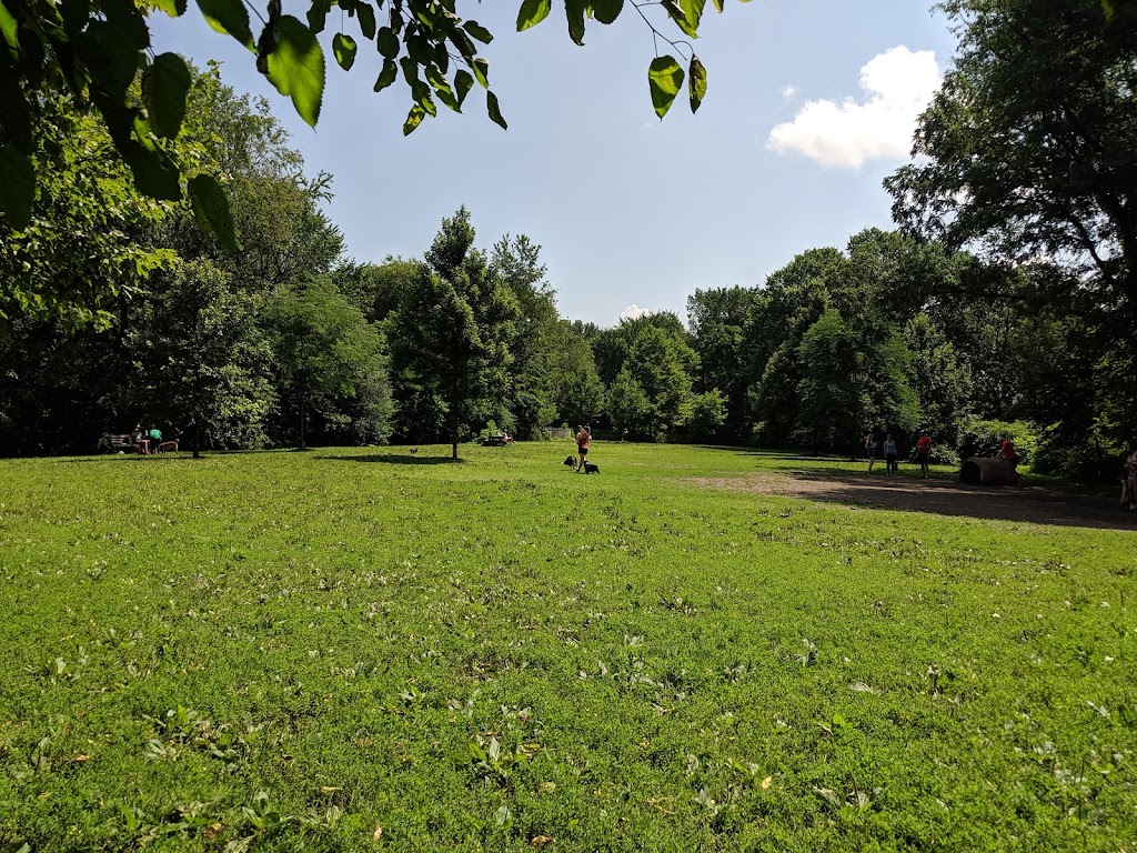 Frick Park Off-Leash Exercise Area