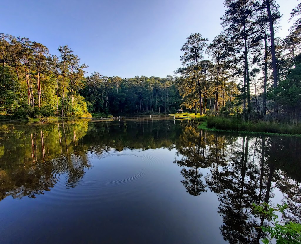 Homochitto National Forest